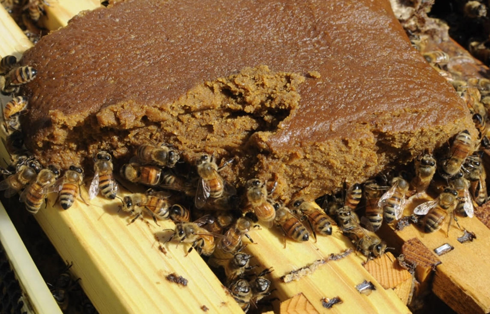 アミノ・ビー1000jpg.jpg