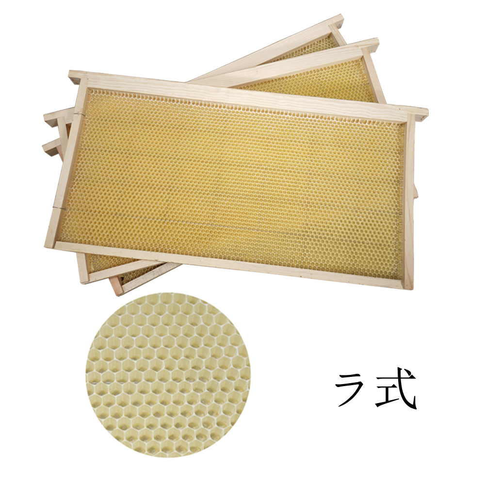 半盛り-ラ-1000.jpg